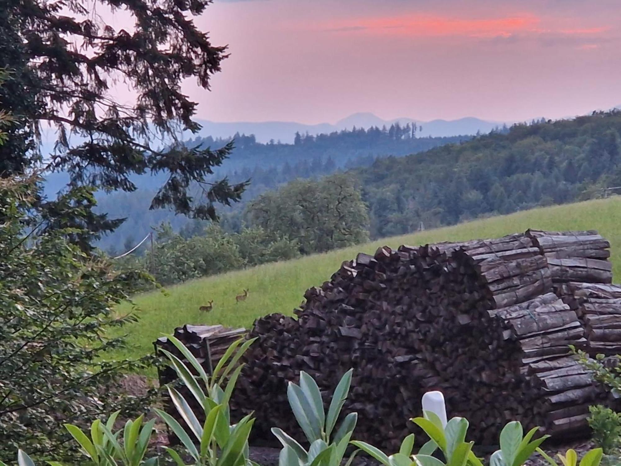 ホテル Ferien Im Schwarzwald Freiamt エクステリア 写真