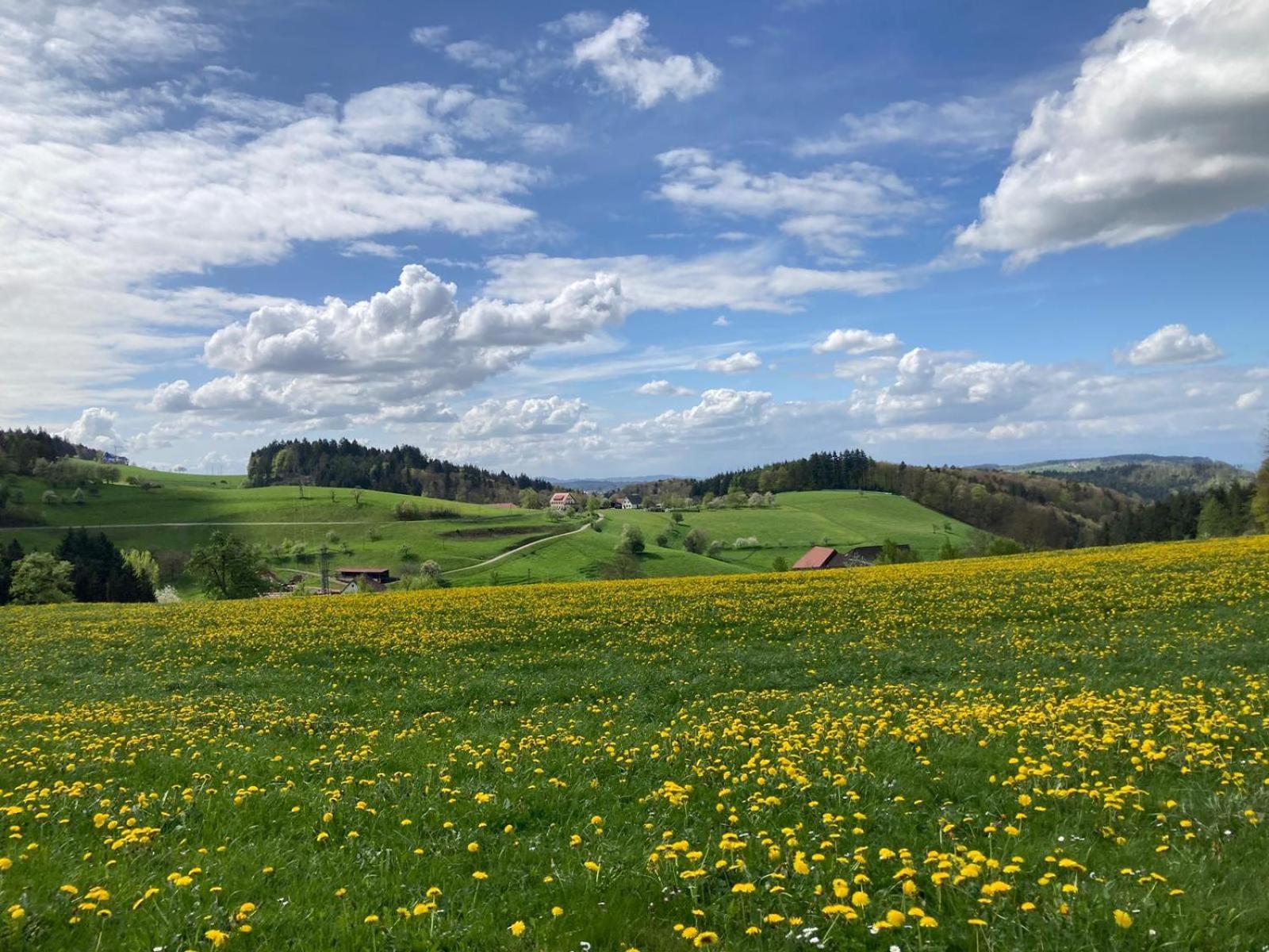 ホテル Ferien Im Schwarzwald Freiamt エクステリア 写真