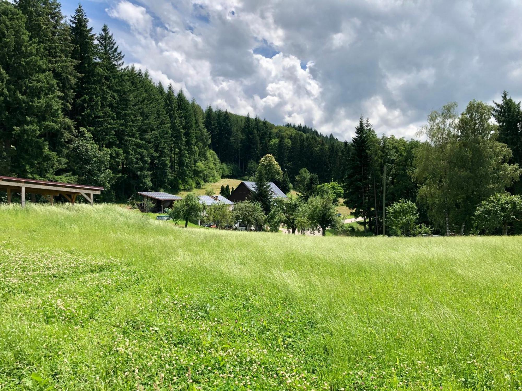 ホテル Ferien Im Schwarzwald Freiamt エクステリア 写真