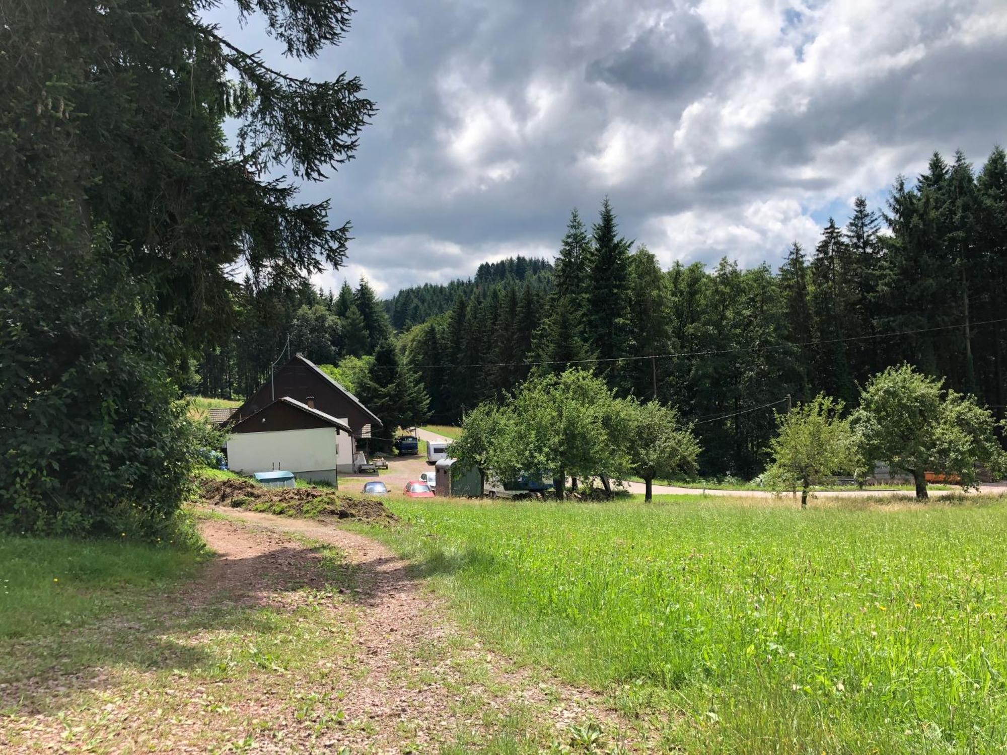 ホテル Ferien Im Schwarzwald Freiamt エクステリア 写真