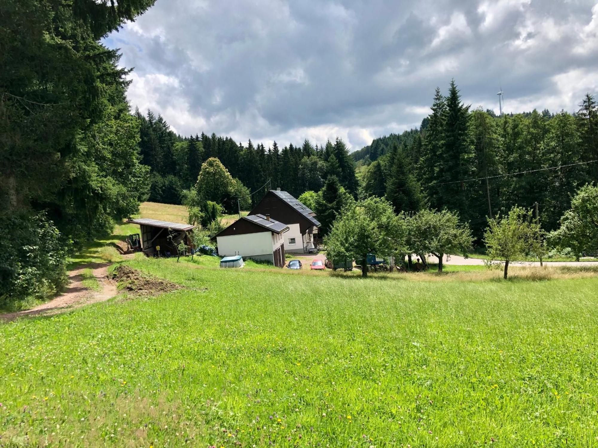 ホテル Ferien Im Schwarzwald Freiamt エクステリア 写真