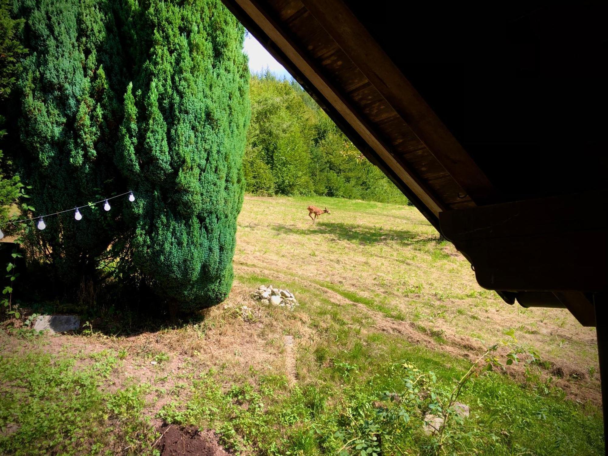 ホテル Ferien Im Schwarzwald Freiamt エクステリア 写真